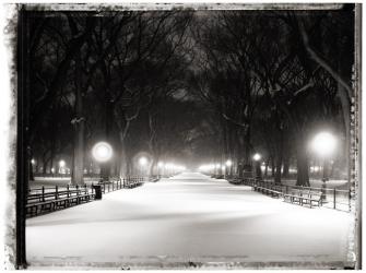 Christopher Thomas - Central Park, The Mall, I
